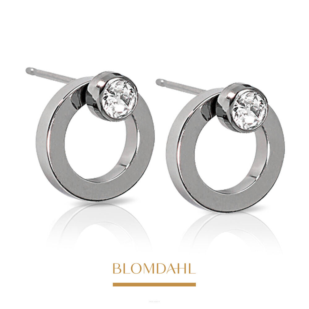 Kolczyki hipoalergiczne Brilliance Hollow Crystal 10/4 mm 