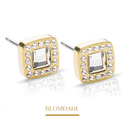 Brilliance Cushion Crystal/Gold 8 mm SFJ