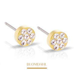 Hypoallergenic Earrings Brilliance Plenary Crystal 5 mm