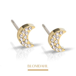Kolczyki hipoalergiczne Brilliance Moon/ Crystal 6 mm 