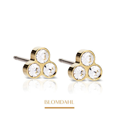Kolczyki hipoalergiczne Clover Crystal 6 mm