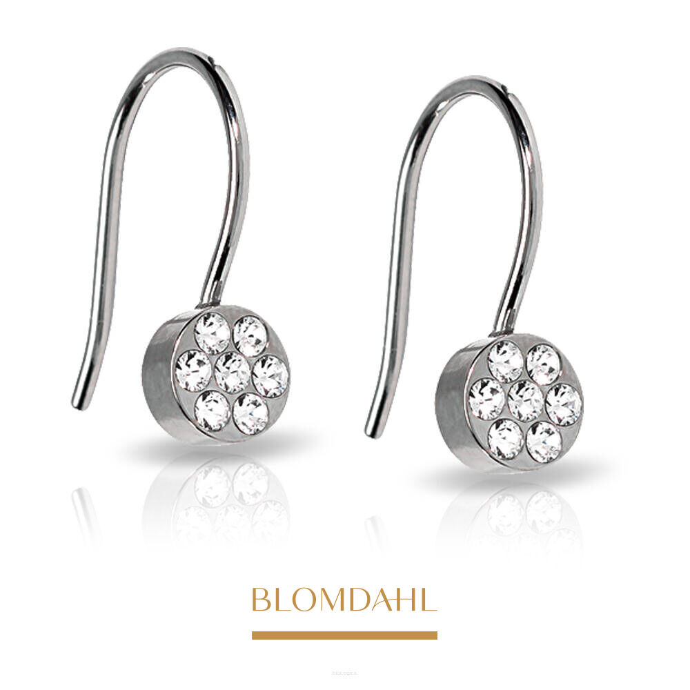 Kolczyki hipoalergiczne Pendant Brilliance Plenary Crystal 5 mm 