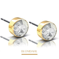Kolczyki hipoalergiczne Bezel Crystal 6 mm 