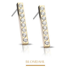 Kolczyki hipoalergiczne Pendant Brilliance Straight Crystal 20 mm 