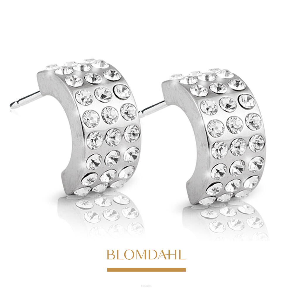Kolczyki hipoalergiczne Pendant Grand Brilliance Curved Crystal 10 mm 