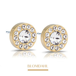 Kolczyki hipoalergiczne Brilliance Halo Crystal 6 mm